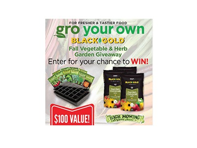 Black Gold Fall Herb & Vegetable garden Giveaway