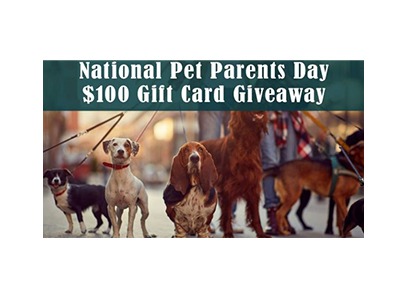 Pet Parents Day Giveaway