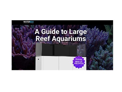 Waterbox Aquarium Giveaway