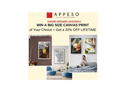 Appeso Wall Art Experts Grand Opening Giveaway