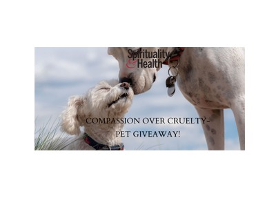 Compassion Over Cruelty Pet Giveaway