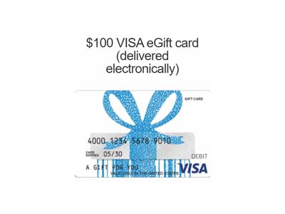 $100 Visa eGift Card Giveaway