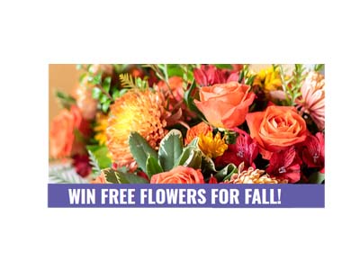 From You Flowers Free Flowers Sweepstakes