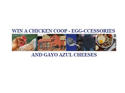 Gayo Azul Blue Rooster Chicken Coop Giveaway
