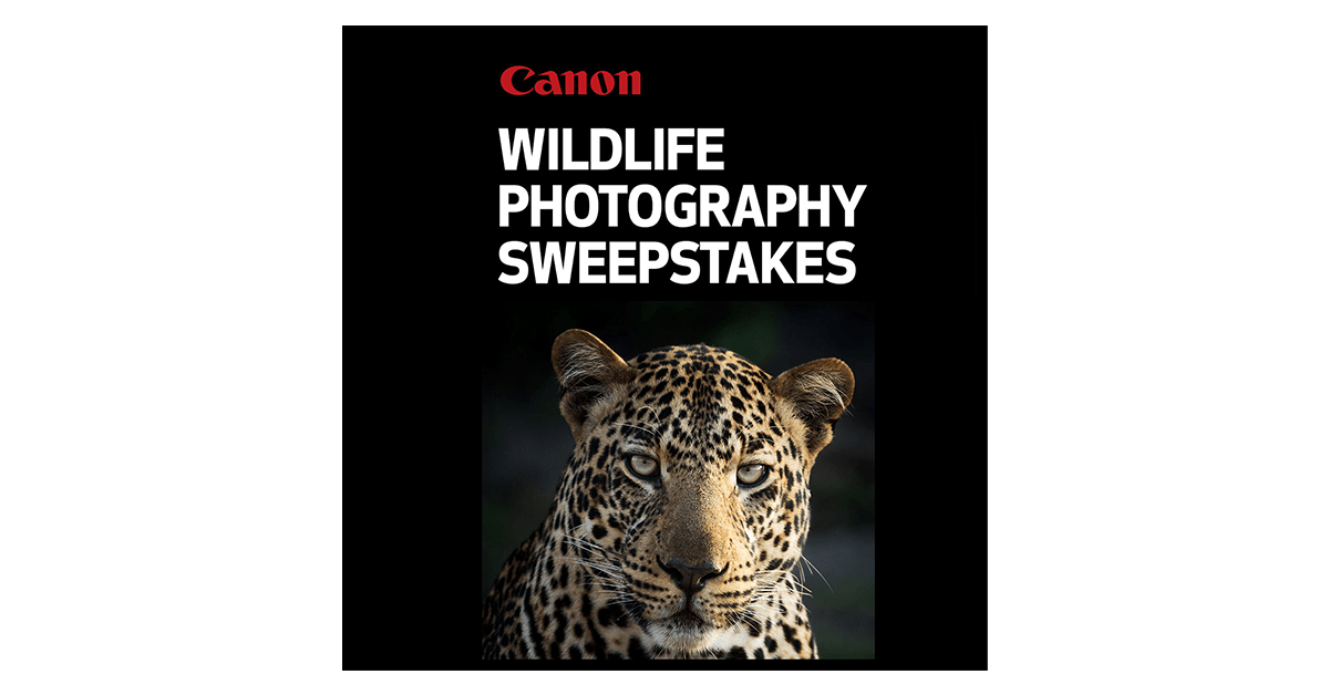Canon Wildlife Photography Sweepstakes