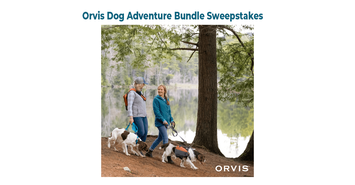 The Orvis Dog Bundles Sweepstakes