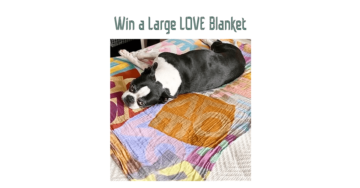 LOVEVOLVE Large LOVE Blanket Giveaway