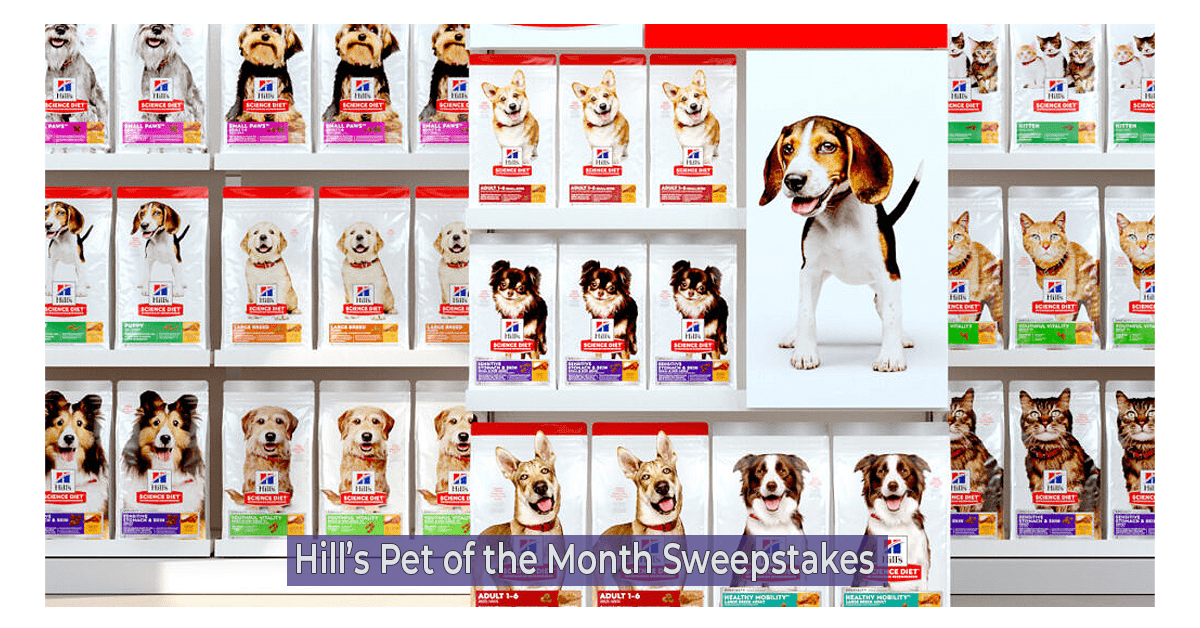 Hill’s Pet of the Month Sweepstakes