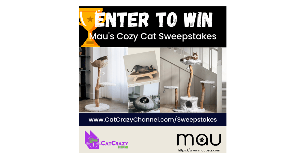 CatCrazy Channel Mau's Cozy Cat Sweepstakes