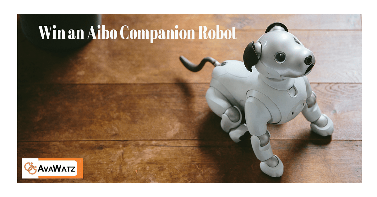 Enter to Win a Aibo Robo Dog